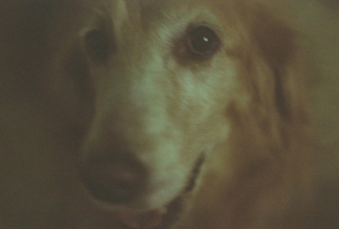 3 Centuria 200 exp.2010.jpg