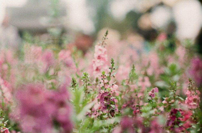 6 Superia 400 Bandung.jpg